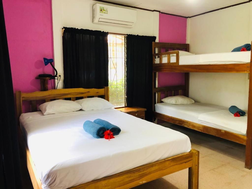 Hotel Isolina Beach بوتريرو المظهر الخارجي الصورة