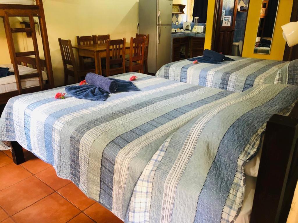 Hotel Isolina Beach بوتريرو المظهر الخارجي الصورة