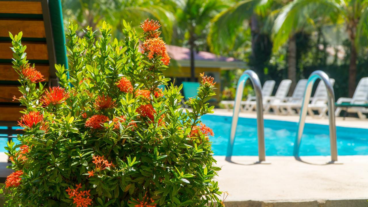 Hotel Isolina Beach بوتريرو المظهر الخارجي الصورة